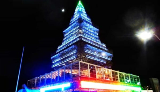 C’è chi vuole l’albero e chi vuole il Nalbero C’è chi vuole l’albero e chi vuole il Nalbero